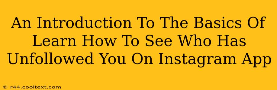 An Introduction To The Basics Of Learn How To See Who Has Unfollowed You On Instagram App