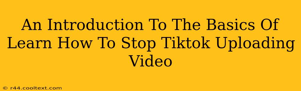 An Introduction To The Basics Of Learn How To Stop Tiktok Uploading Video