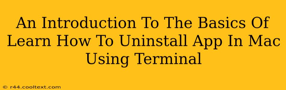 An Introduction To The Basics Of Learn How To Uninstall App In Mac Using Terminal