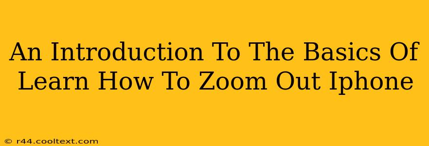 An Introduction To The Basics Of Learn How To Zoom Out Iphone