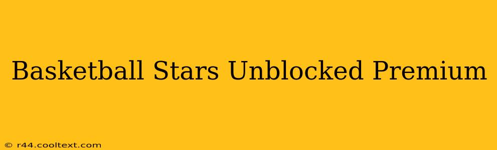 Basketball Stars Unblocked Premium