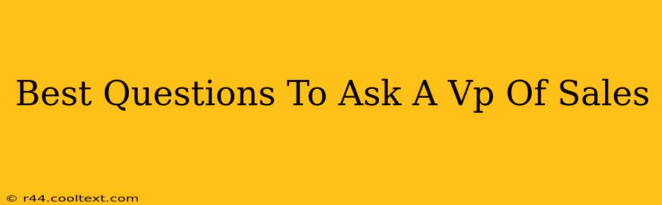 Best Questions To Ask A Vp Of Sales