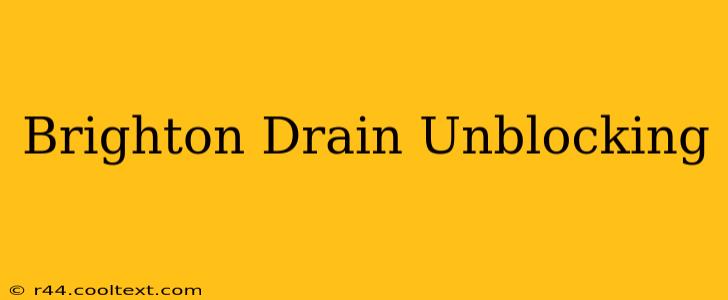 Brighton Drain Unblocking