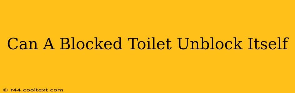 Can A Blocked Toilet Unblock Itself