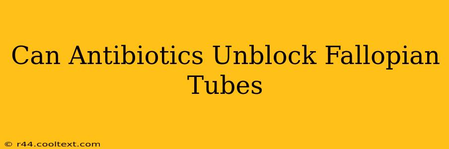 Can Antibiotics Unblock Fallopian Tubes