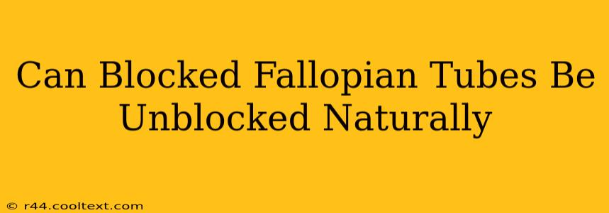 Can Blocked Fallopian Tubes Be Unblocked Naturally