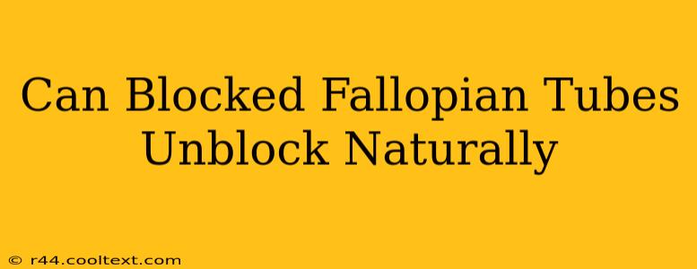 Can Blocked Fallopian Tubes Unblock Naturally