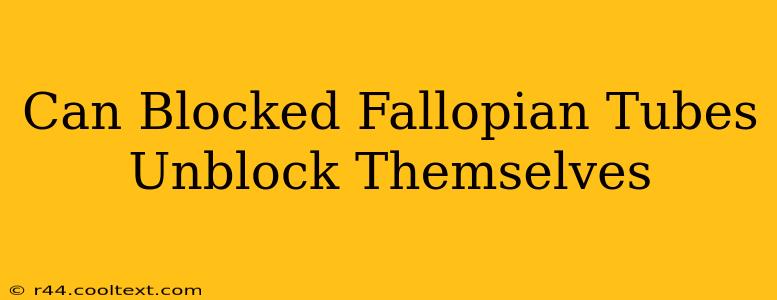 Can Blocked Fallopian Tubes Unblock Themselves