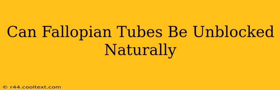 Can Fallopian Tubes Be Unblocked Naturally