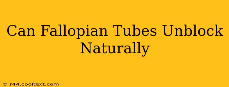 Can Fallopian Tubes Unblock Naturally