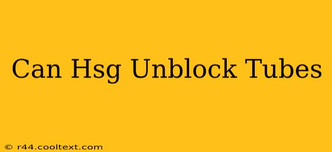 Can Hsg Unblock Tubes