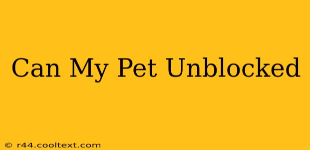 Can My Pet Unblocked