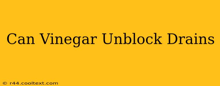 Can Vinegar Unblock Drains