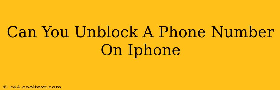 Can You Unblock A Phone Number On Iphone