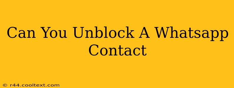 Can You Unblock A Whatsapp Contact