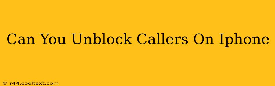 Can You Unblock Callers On Iphone