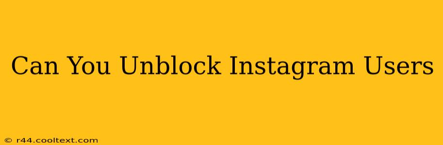 Can You Unblock Instagram Users