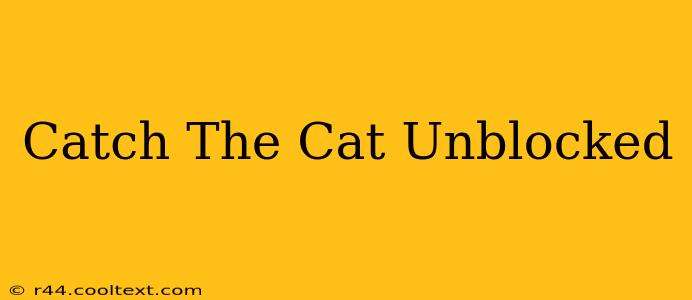 Catch The Cat Unblocked