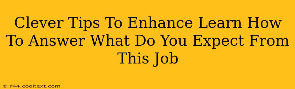 Clever Tips To Enhance Learn How To Answer What Do You Expect From This Job