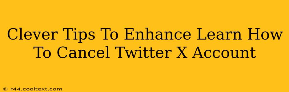 Clever Tips To Enhance Learn How To Cancel Twitter X Account