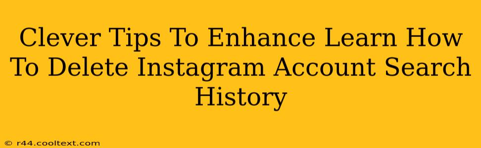 Clever Tips To Enhance Learn How To Delete Instagram Account Search History