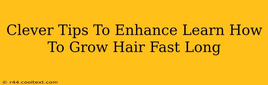 Clever Tips To Enhance Learn How To Grow Hair Fast Long