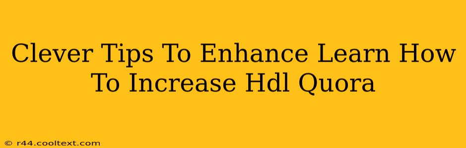 Clever Tips To Enhance Learn How To Increase Hdl Quora