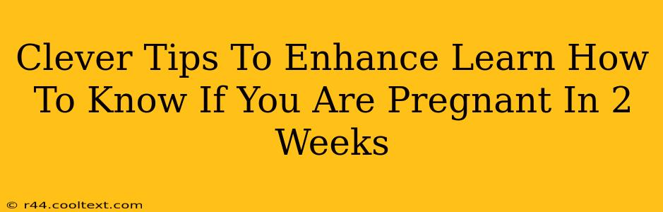 Clever Tips To Enhance Learn How To Know If You Are Pregnant In 2 Weeks