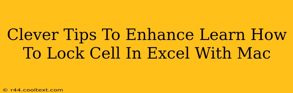 Clever Tips To Enhance Learn How To Lock Cell In Excel With Mac