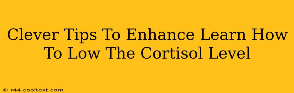 Clever Tips To Enhance Learn How To Low The Cortisol Level