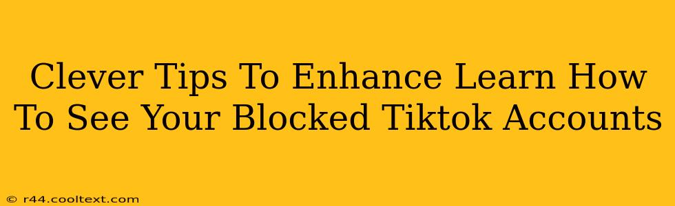 Clever Tips To Enhance Learn How To See Your Blocked Tiktok Accounts