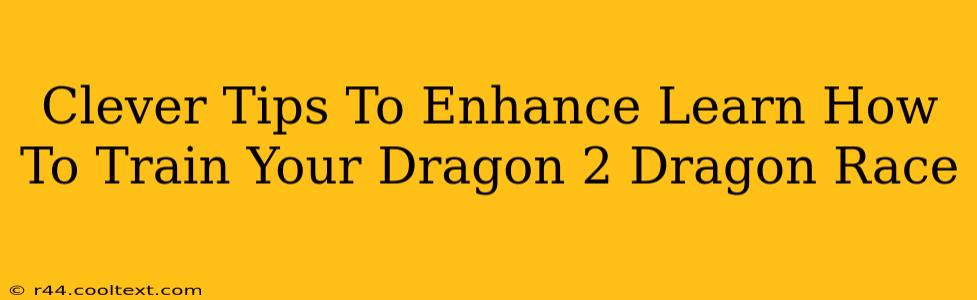 Clever Tips To Enhance Learn How To Train Your Dragon 2 Dragon Race