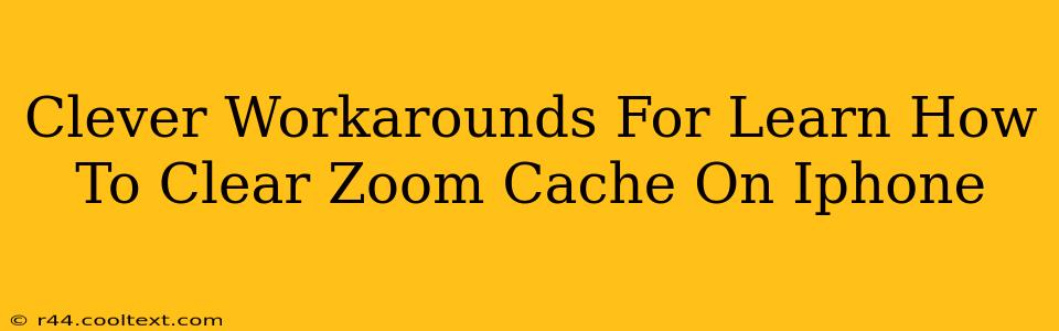 Clever Workarounds For Learn How To Clear Zoom Cache On Iphone