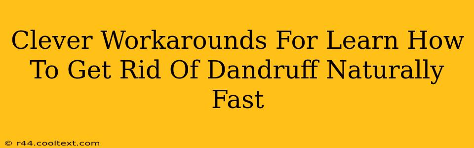 Clever Workarounds For Learn How To Get Rid Of Dandruff Naturally Fast