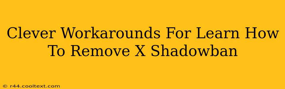 Clever Workarounds For Learn How To Remove X Shadowban