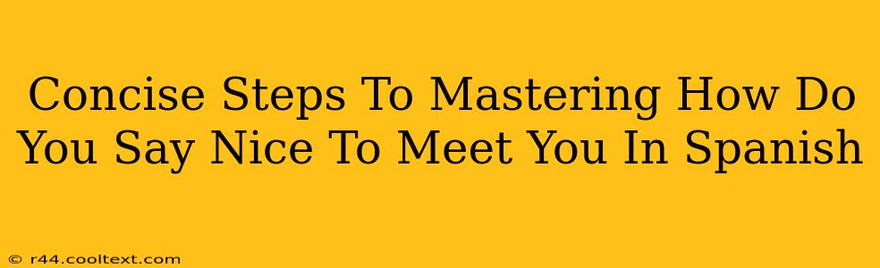 Concise Steps To Mastering How Do You Say Nice To Meet You In Spanish