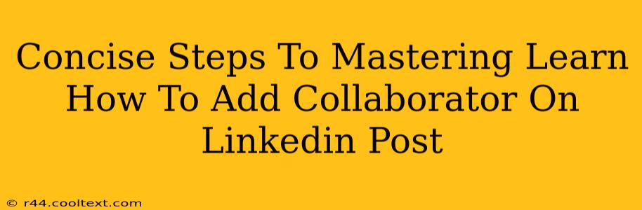 Concise Steps To Mastering Learn How To Add Collaborator On Linkedin Post