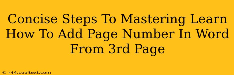 Concise Steps To Mastering Learn How To Add Page Number In Word From 3rd Page