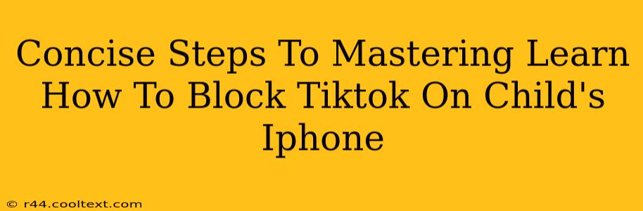 Concise Steps To Mastering Learn How To Block Tiktok On Child's Iphone