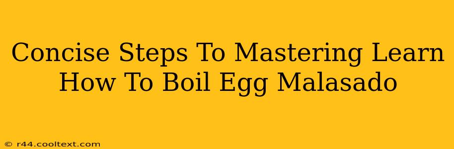 Concise Steps To Mastering Learn How To Boil Egg Malasado