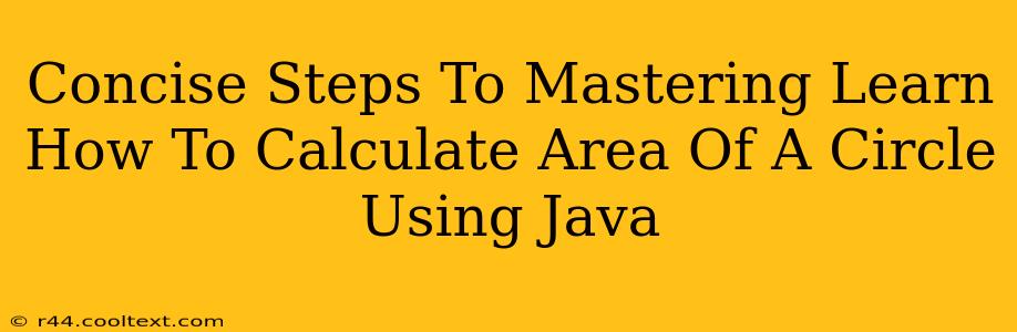 Concise Steps To Mastering Learn How To Calculate Area Of A Circle Using Java