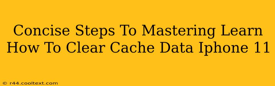 Concise Steps To Mastering Learn How To Clear Cache Data Iphone 11