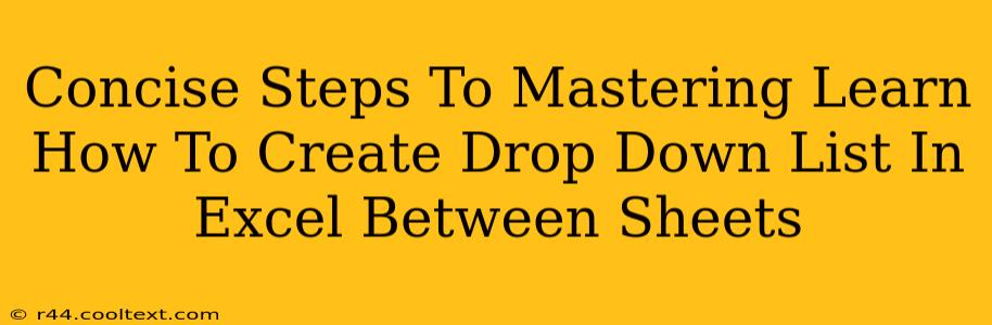 Concise Steps To Mastering Learn How To Create Drop Down List In Excel Between Sheets