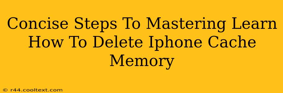 Concise Steps To Mastering Learn How To Delete Iphone Cache Memory