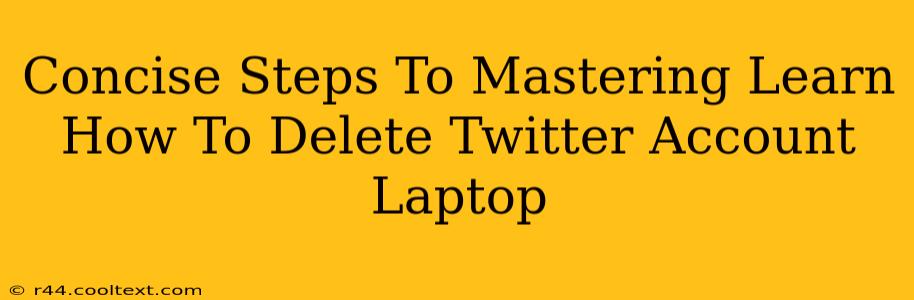 Concise Steps To Mastering Learn How To Delete Twitter Account Laptop