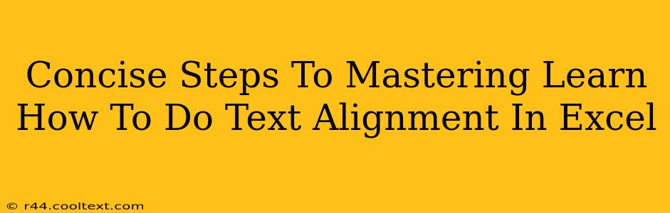 Concise Steps To Mastering Learn How To Do Text Alignment In Excel