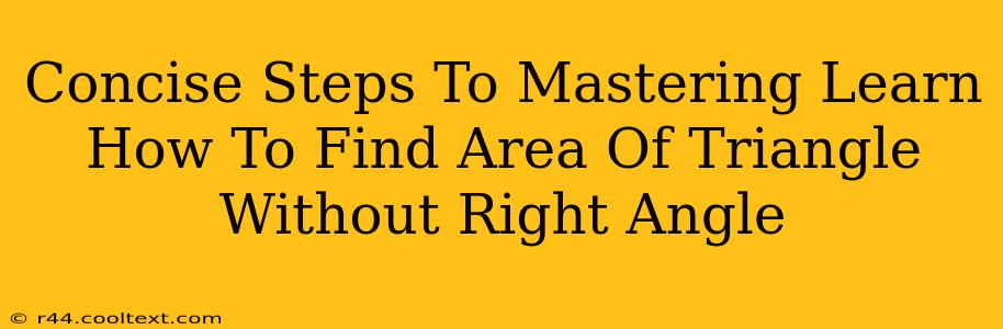 Concise Steps To Mastering Learn How To Find Area Of Triangle Without Right Angle