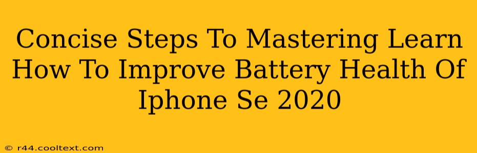 Concise Steps To Mastering Learn How To Improve Battery Health Of Iphone Se 2020