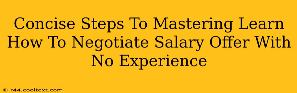 Concise Steps To Mastering Learn How To Negotiate Salary Offer With No Experience