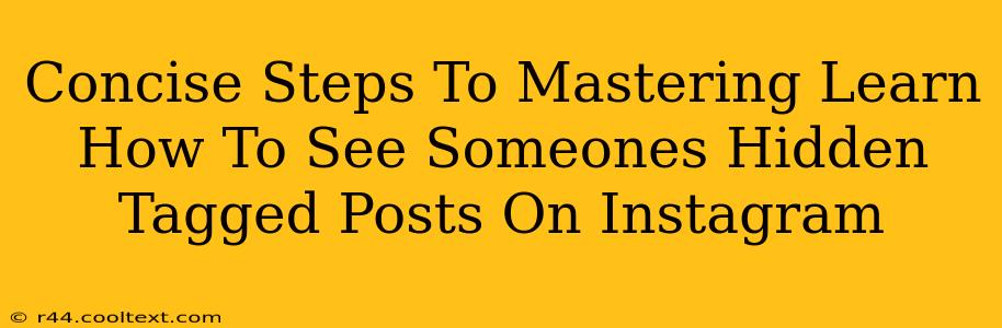 Concise Steps To Mastering Learn How To See Someones Hidden Tagged Posts On Instagram